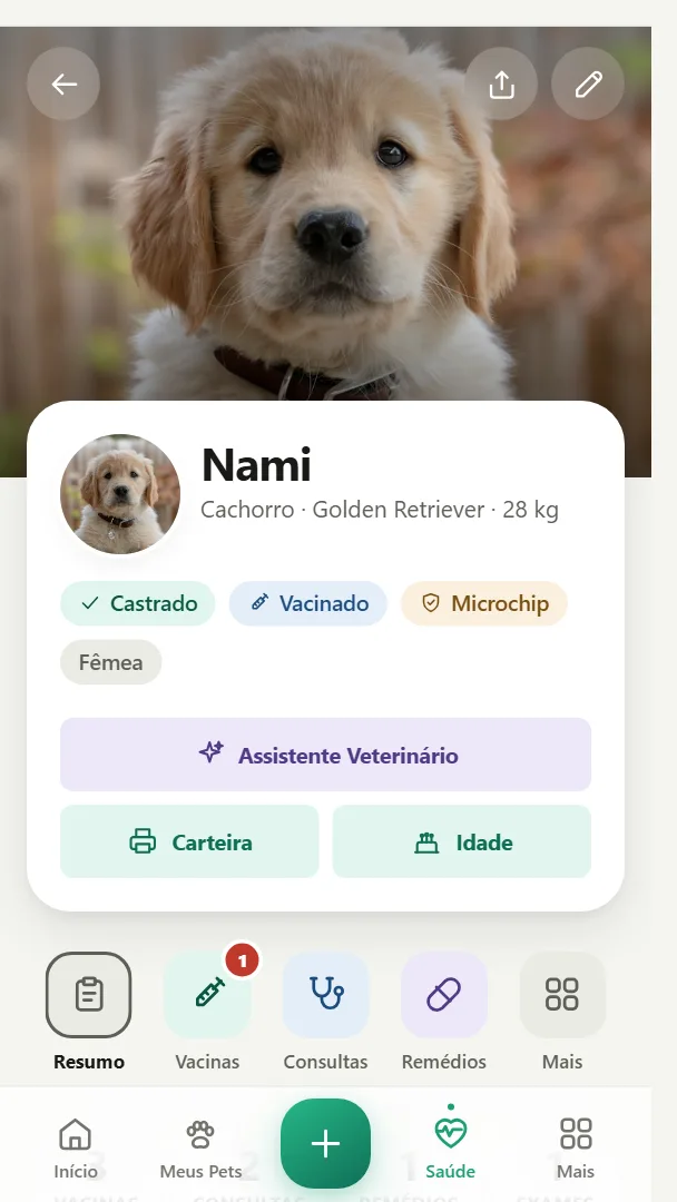 Tela real do Meu Pet Ideal: prontuário da Nami, uma golden retriever, com foto e dados de saúde
